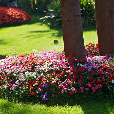 San Michele Anacapri (Isola di Capri)
